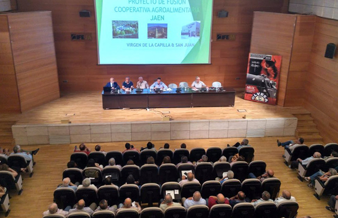 Una treintena de cooperativas andaluzas apuesta por la integración, fusión y creación de grupos de comercialización