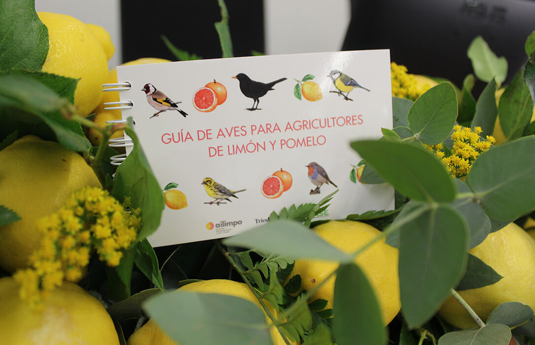Estrenan una guía sobre las aves que habitan en las fincas de limón y pomelo como un servicio ecosistémico con beneficios para el agricultor