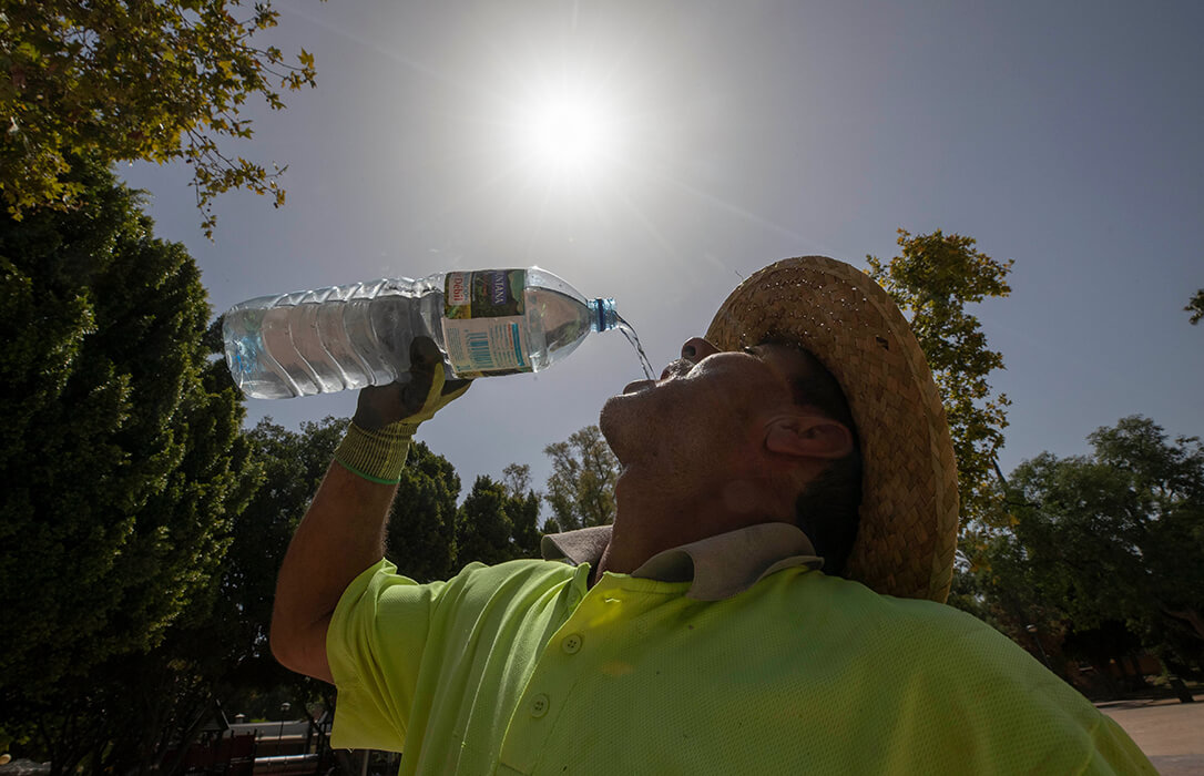 El sector agrario pide precaución y  jornadas adecuadas para evitar golpes de calor y recuerda que la ausencia de medidas pueda acarrear sanciones